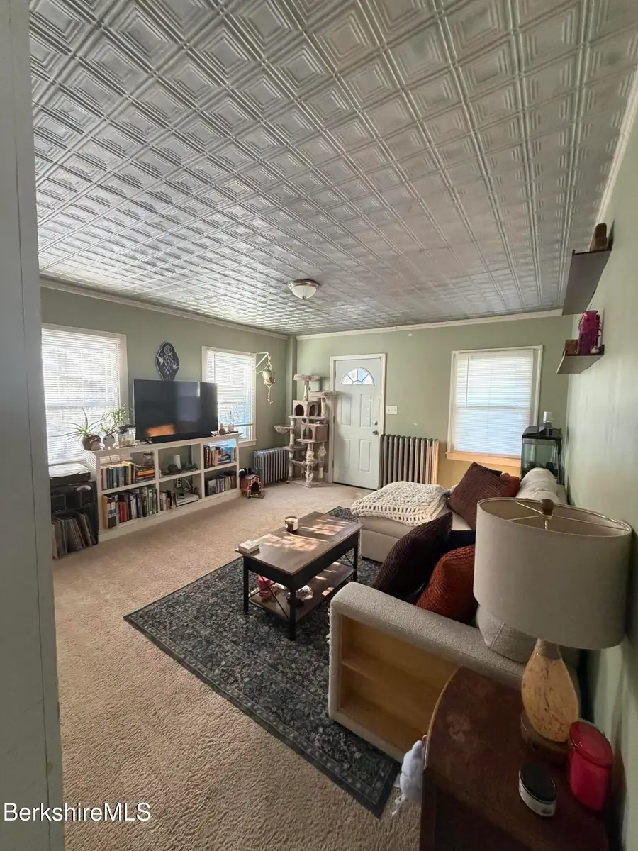 15 High St, Pittsfield, MA 01201 - #3