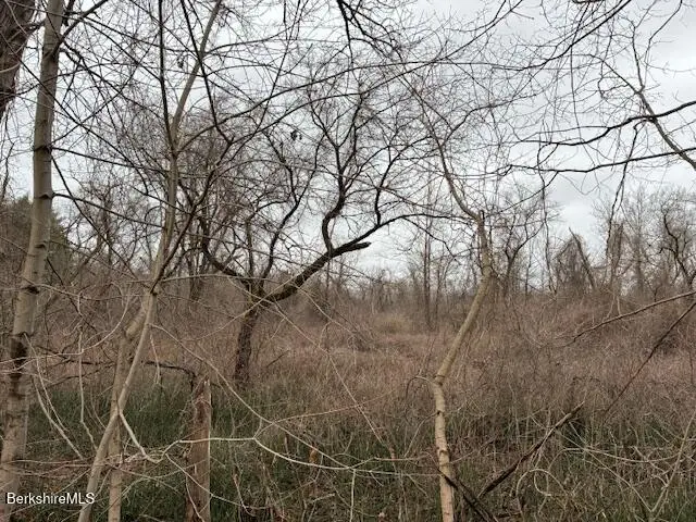 0 Division St, Great Barrington, MA 01230 - #3