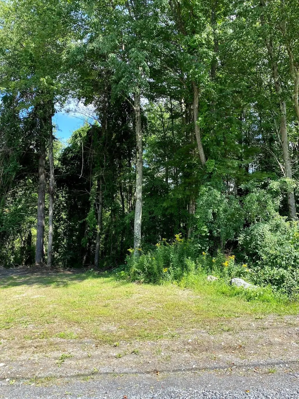 0 Greenwood Cir, Egremont, MA 01258 - #1