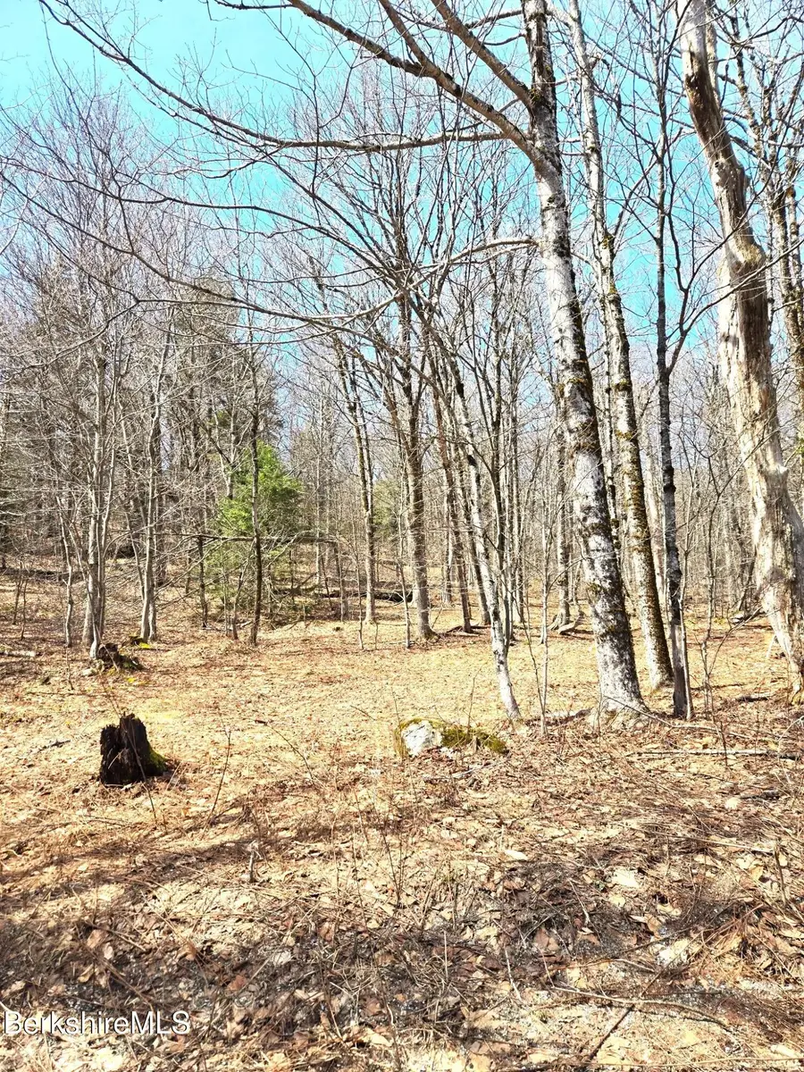 29 Moore's Rd, Florida, MA 01247 - #3