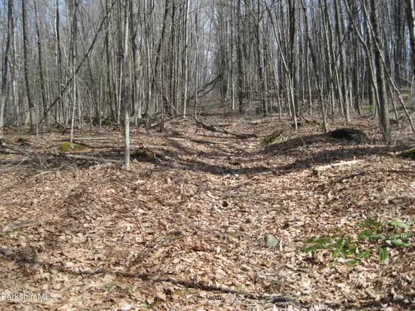 0 Mohawk Lake Rd, Stockbridge, MA 01262