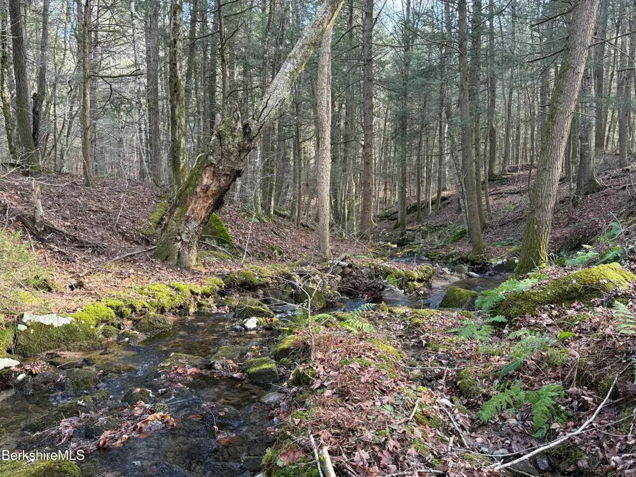 411-51 &52 Skyline Trail Trail, Middlefield, MA 01243 - #3