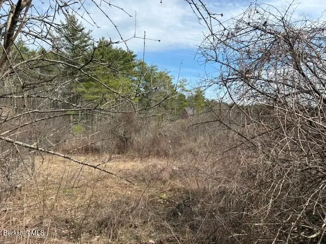 0 Mill River To Great Barrington Rd, New Marlborough, MA 01230 - #2