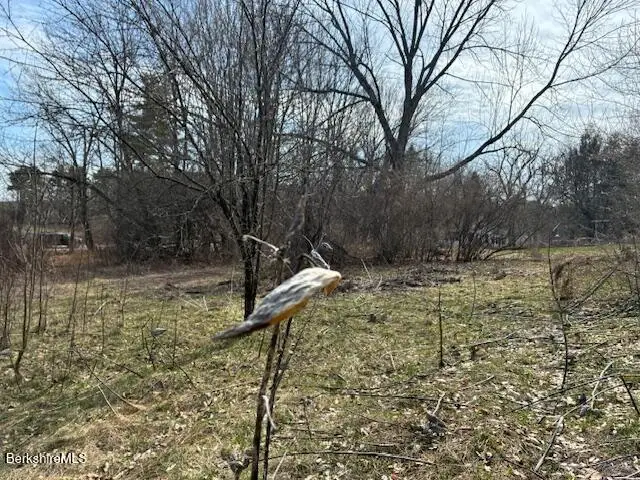 0 Mill River To Great Barrington Rd, New Marlborough, MA 01230 - #3