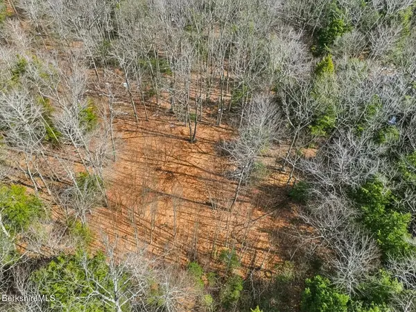 8 Hemlock Rd, Tyringham, MA 01264