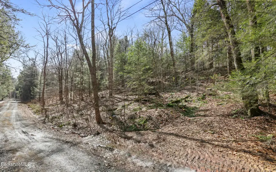 8 Hemlock Rd, Tyringham, MA 01264 - #3