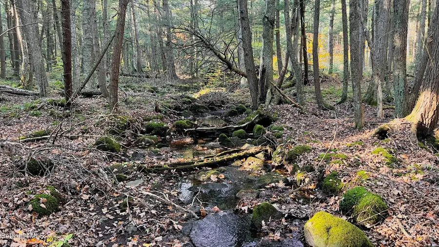 Lot1 Marcy Rd, Otis, MA 01253 - #3