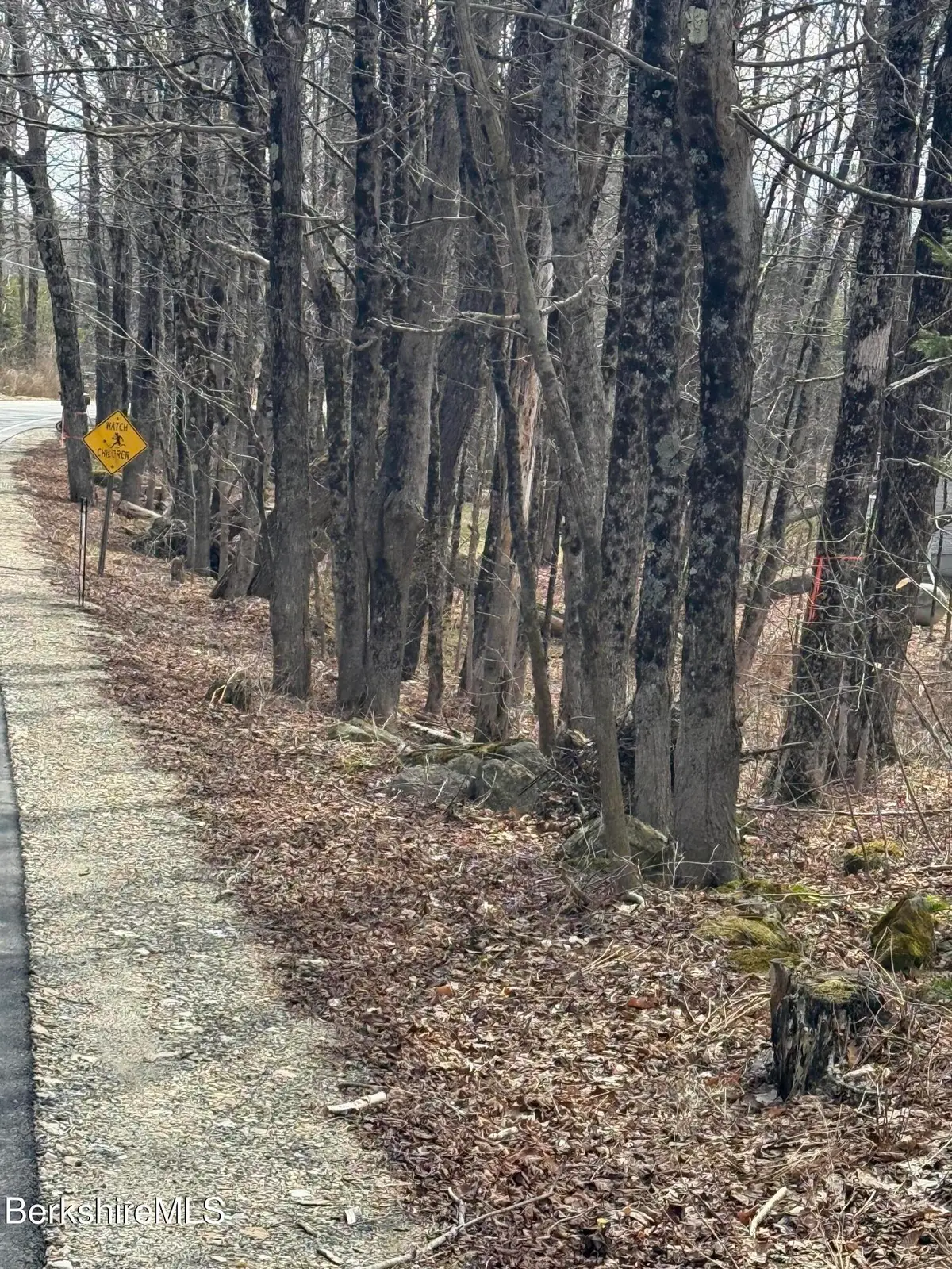 0 George Schnopp Rd, Hinsdale, MA 01235 - #1