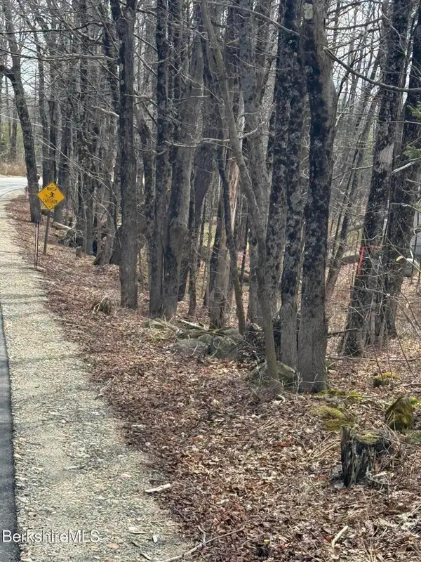 0 George Schnopp Rd, Hinsdale, MA 01235