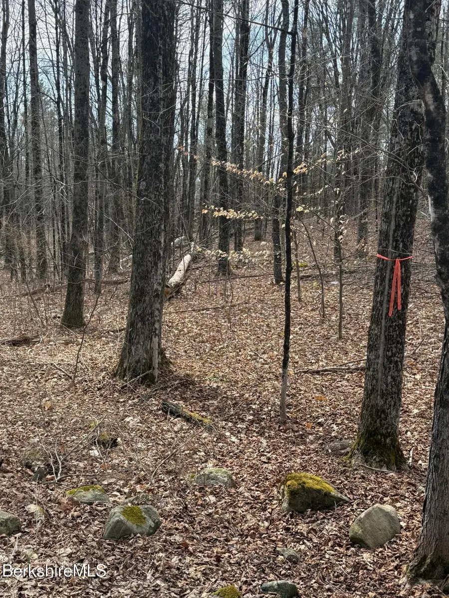 0 George Schnopp Rd, Hinsdale, MA 01235 - #3