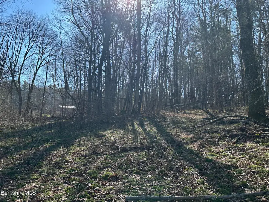 2447 State Rd, Richmond, MA 01254 - #2