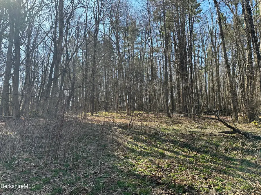 2447 State Rd, Richmond, MA 01254 - #3