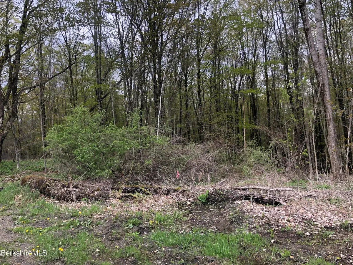 5 Watson Rd, Hinsdale, MA 01235 - #1