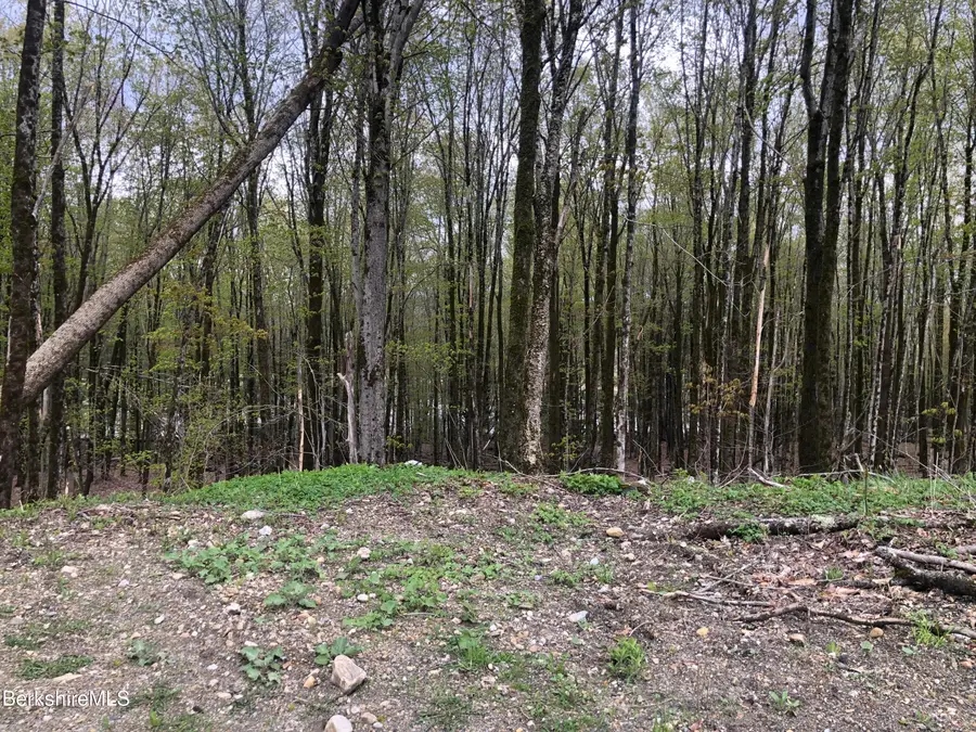 5 Watson Rd, Hinsdale, MA 01235 - #2