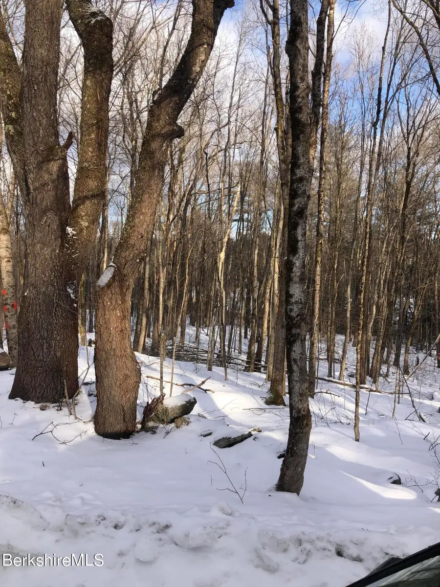 5 Watson Rd, Hinsdale, MA 01235 - #3