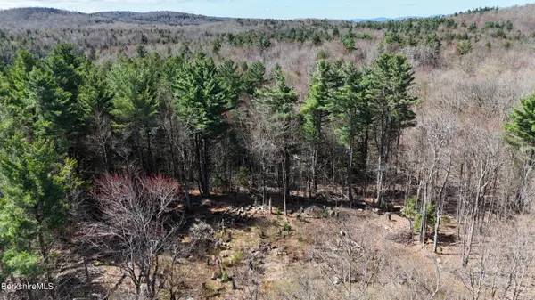 Lot 15 Dimmock Rd, Otis, MA 01253