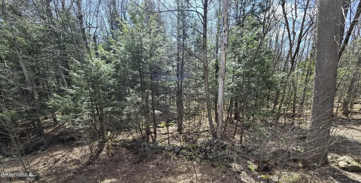Jacobs Ladder Rd, Becket, MA 01223 - #1