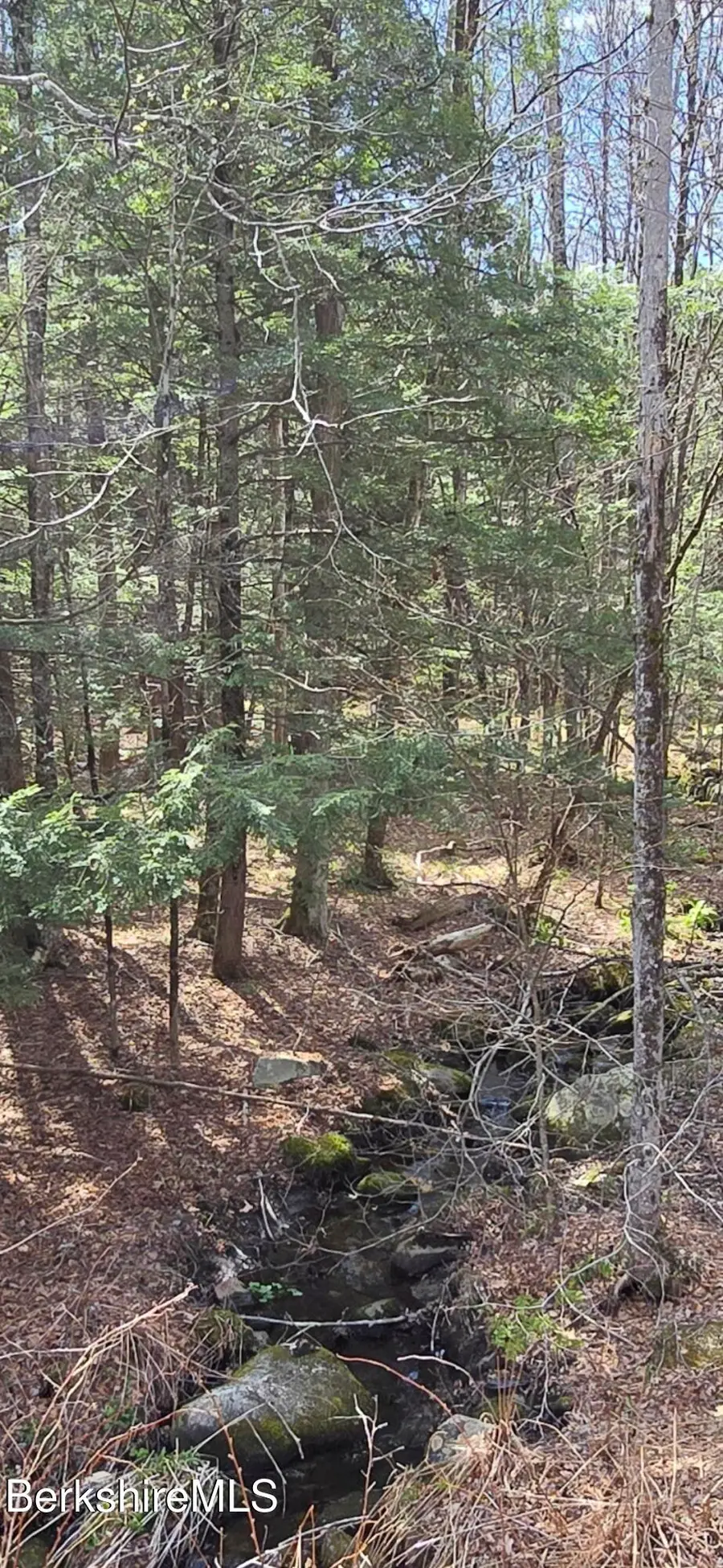 Jacobs Ladder Rd, Becket, MA 01223 - #2