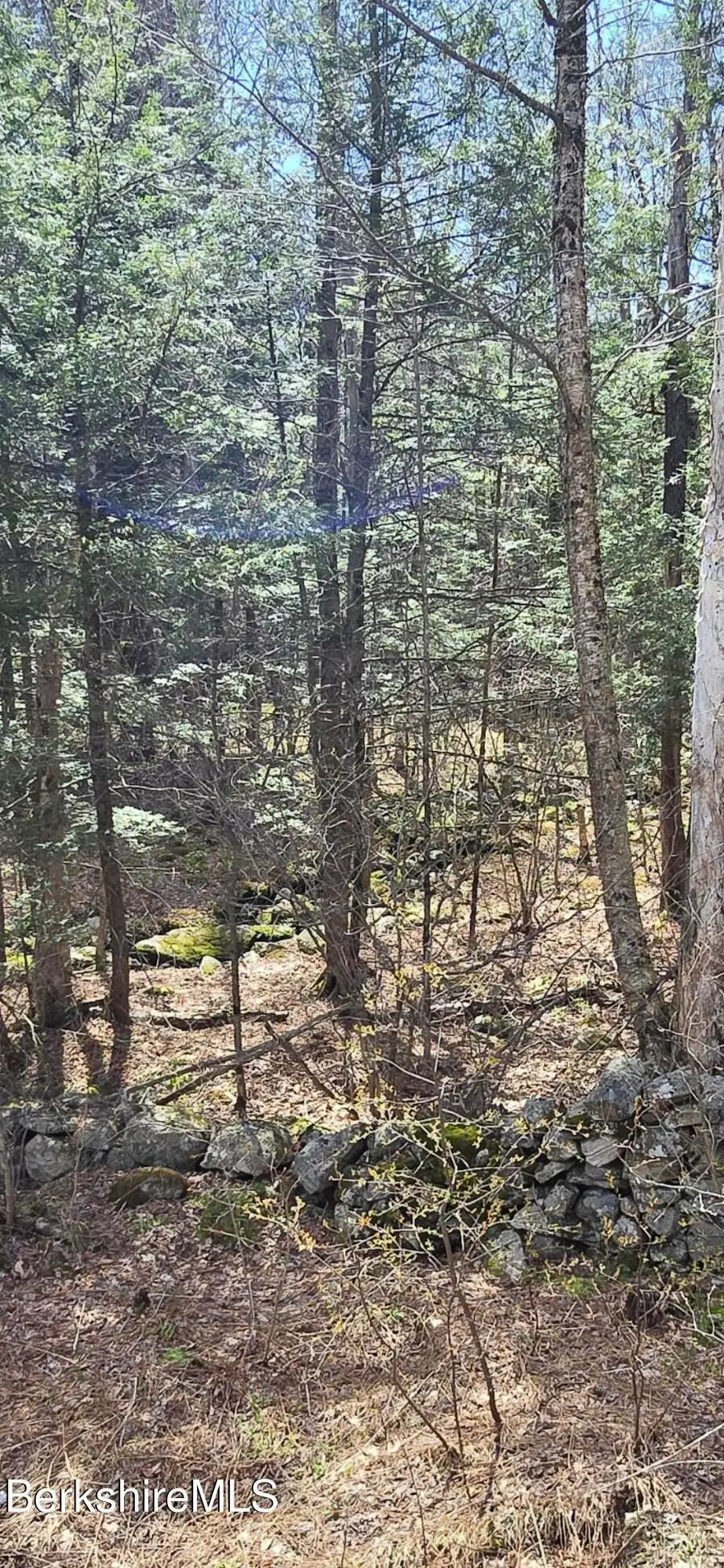 Jacobs Ladder Rd, Becket, MA 01223 - #3
