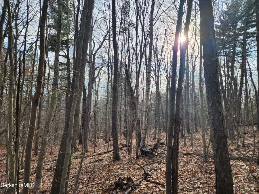 Lindsey Hill Rd, Worthington, MA 01098 - #2