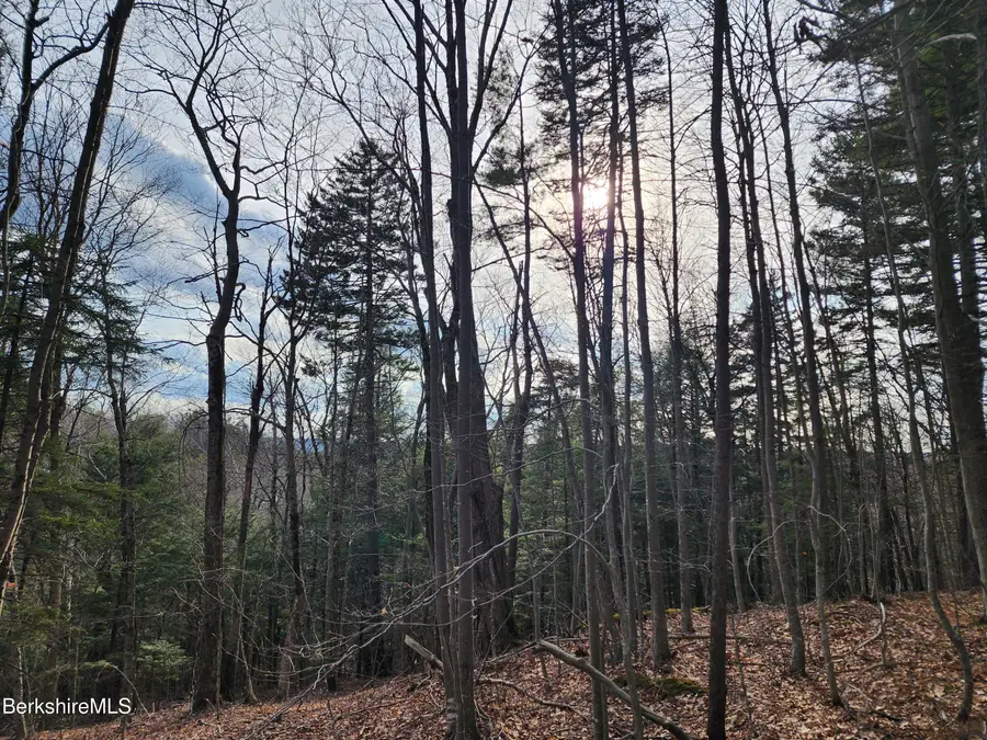 Lindsey Hill Rd, Worthington, MA 01098 - #3