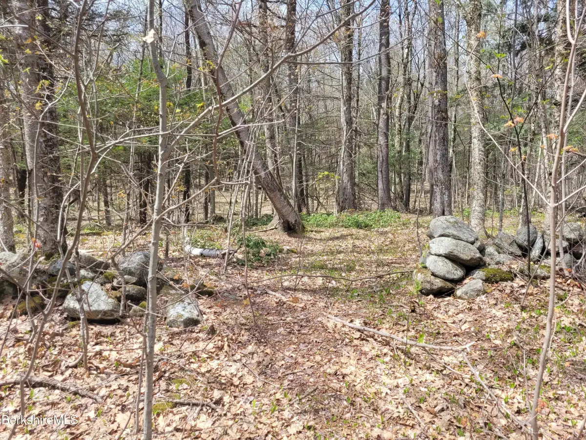 Lot 3 Town Hill Rd, Sandisfield, MA 01255 - #1