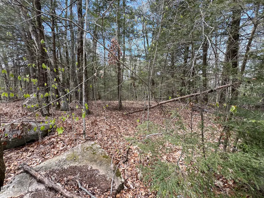 Lot32 Valley View Rd, Becket, MA 01223 - #3