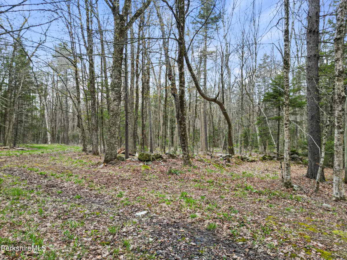 Stagecoach Rd, Becket, MA 01223 - #1