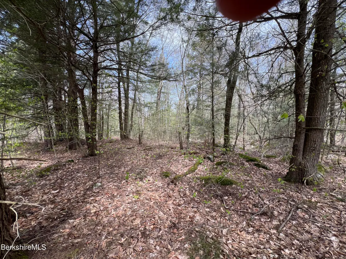 Lot19 Skyline Ridge Rd, Becket, MA 01223 - #1