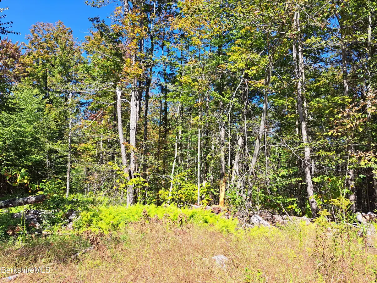 Lot ''B'' Beulah Land Rd, Blandford, MA 01008 - #1