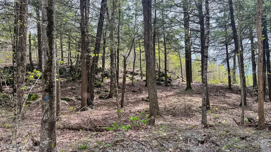 58 Stanley Rd, Otis, MA 01253 - #3