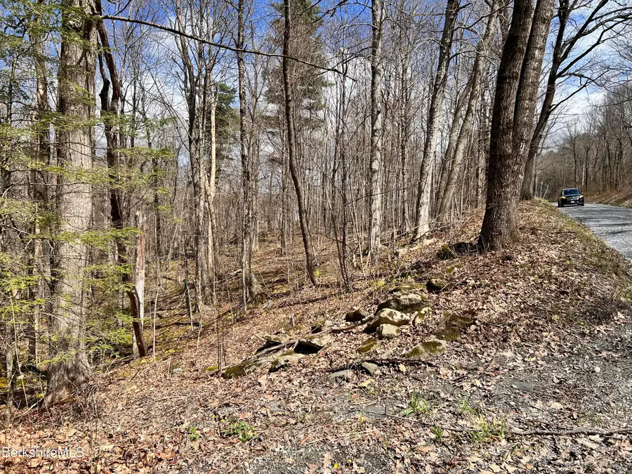 0 Goose Pond (lot #4) Rd, Tyringham, MA 01264 - #2