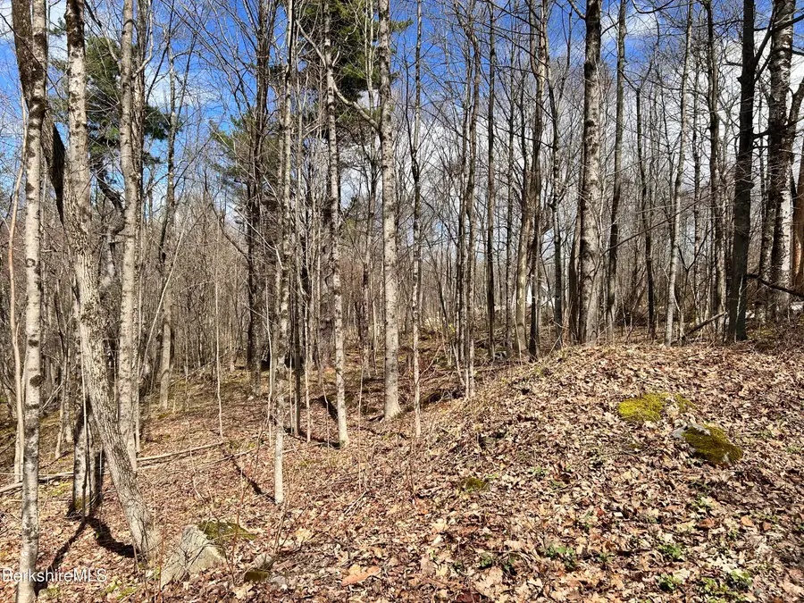 0 Goose Pond (lot #4) Rd, Tyringham, MA 01264 - #3