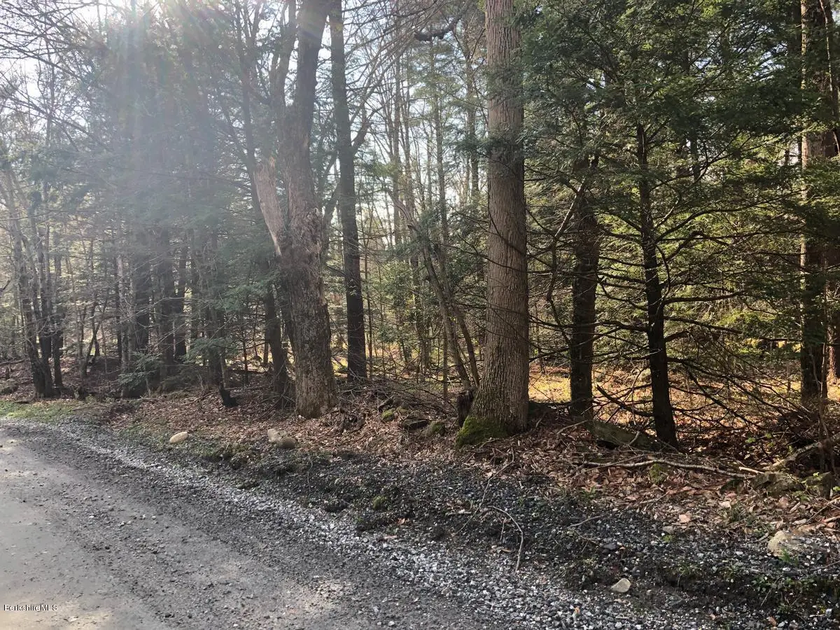 0 Dimmock Rd, Otis, MA 01253 - #1