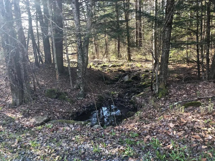 0 Dimmock Rd, Otis, MA 01253 - #3