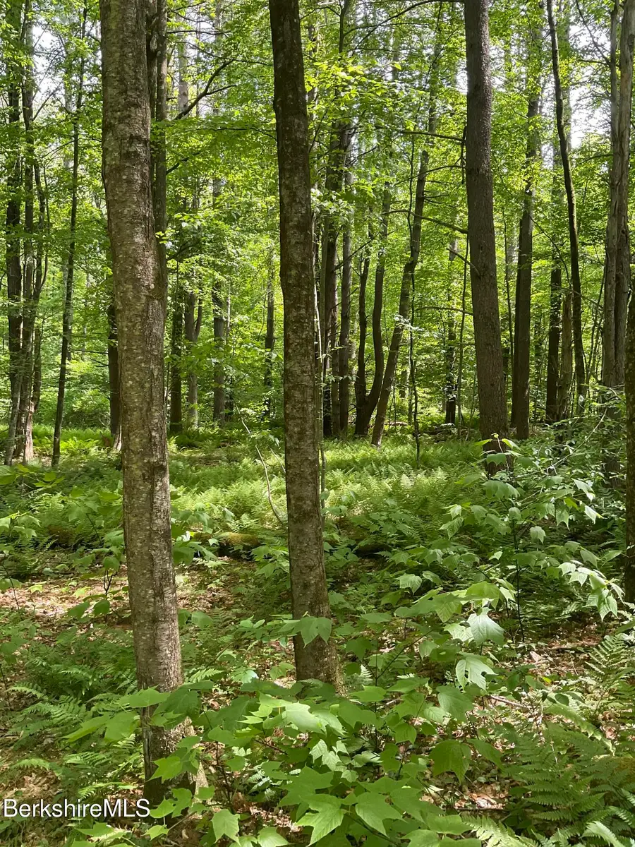 0 Whites Hill Rd, Alford, MA 01266 - #3