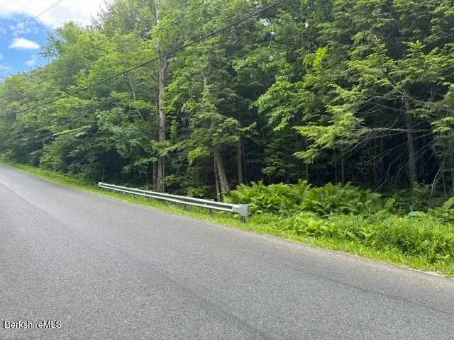 North Central Shaft Rd, Florida, MA 01247 - #1