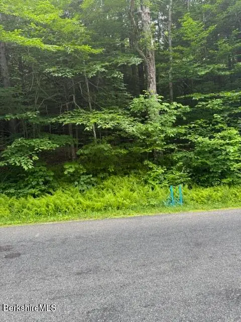 North Central Shaft Rd, Florida, MA 01247 - #2
