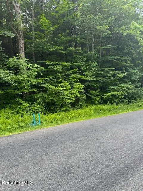 North Central Shaft Rd, Florida, MA 01247 - #3