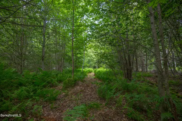 Lot 21 Stoney Brook Rd, Becket, MA 01223