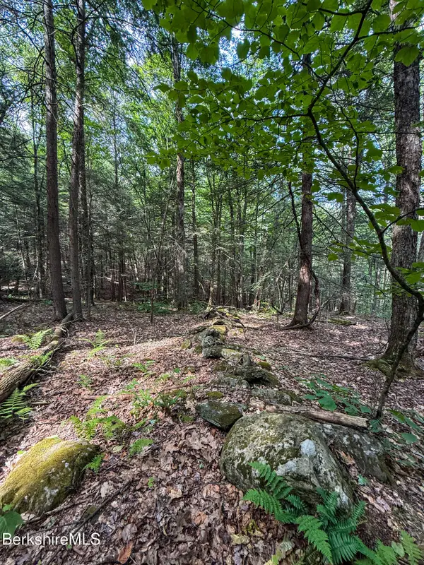 Lot 35 Deer Run, Becket, MA 01223