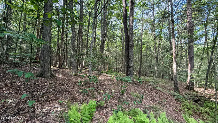Lot 35 Deer Run, Becket, MA 01223 - #3