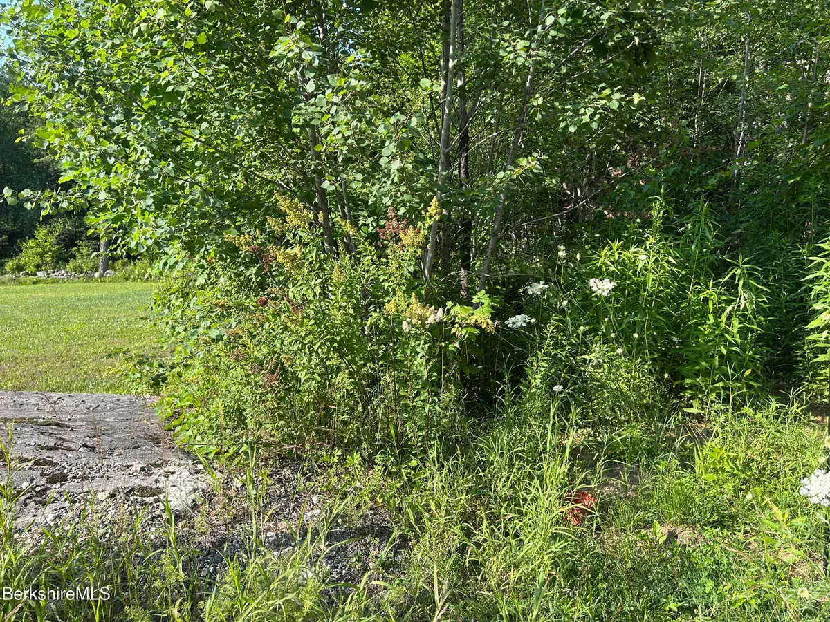 0 Hawk Rd, Hinsdale, MA 01235 - #1