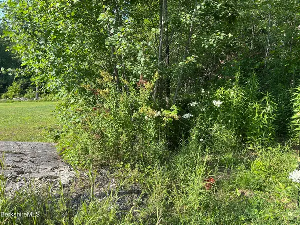 0 Hawk Rd, Hinsdale, MA 01235