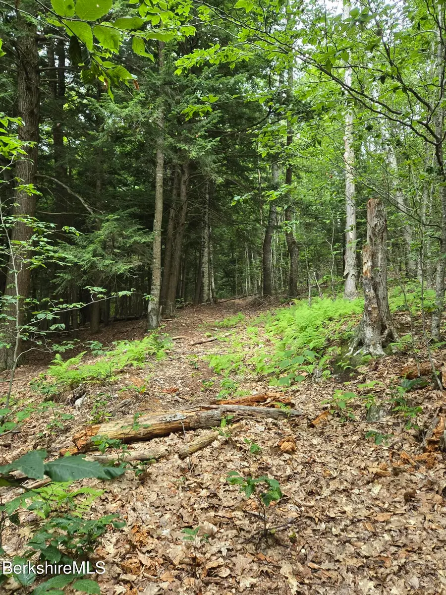 0 Monroe Rd, Florida, MA 01247 - #2