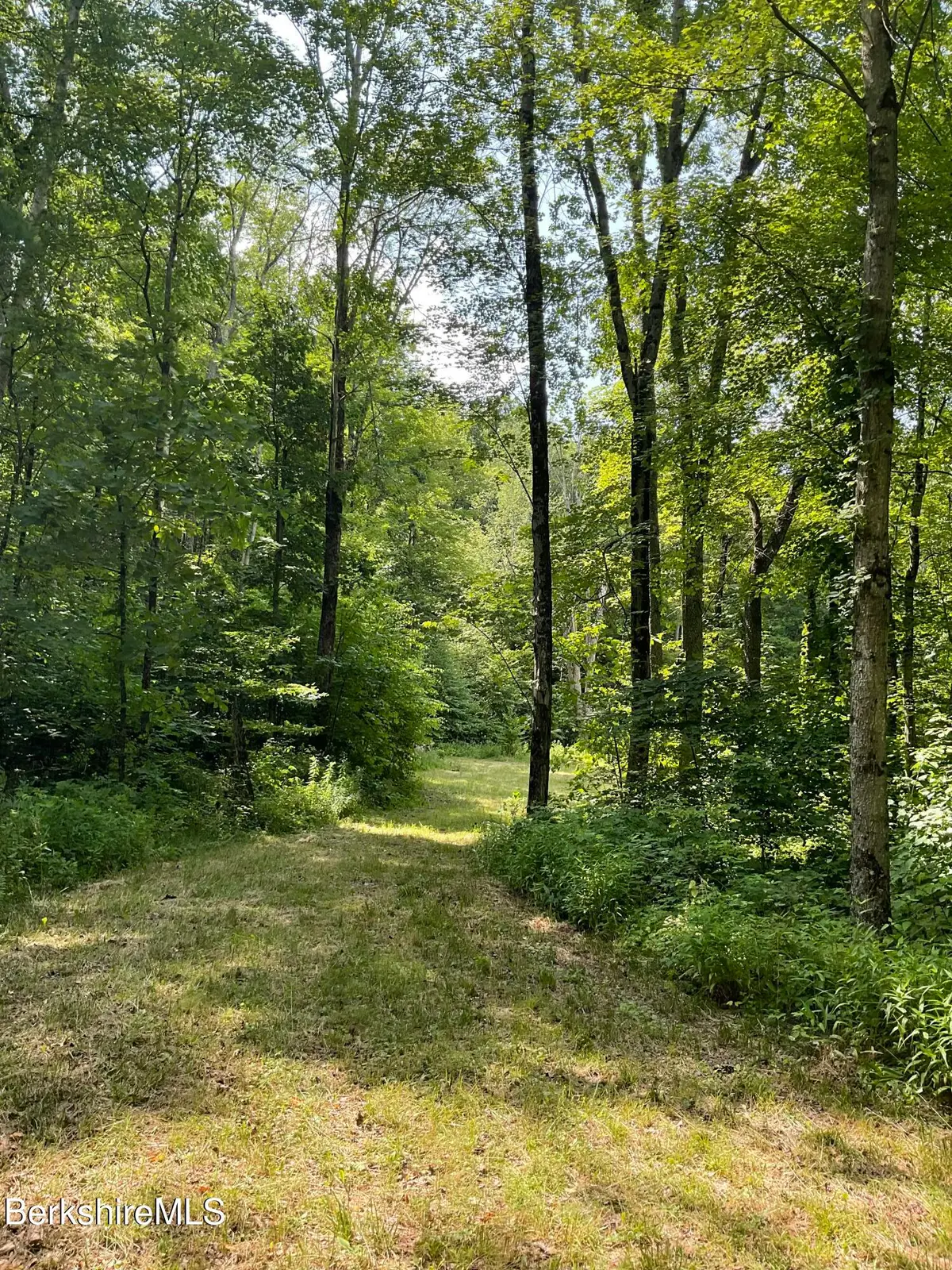 8 Stone Ridge Rd, Stockbridge, MA 01262 - #1