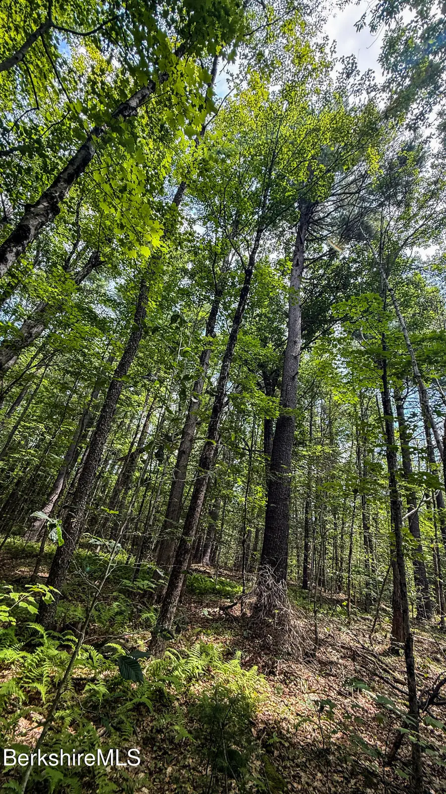 LOT9 Jacobs Ladder Rd, Becket, MA 01223 - #2