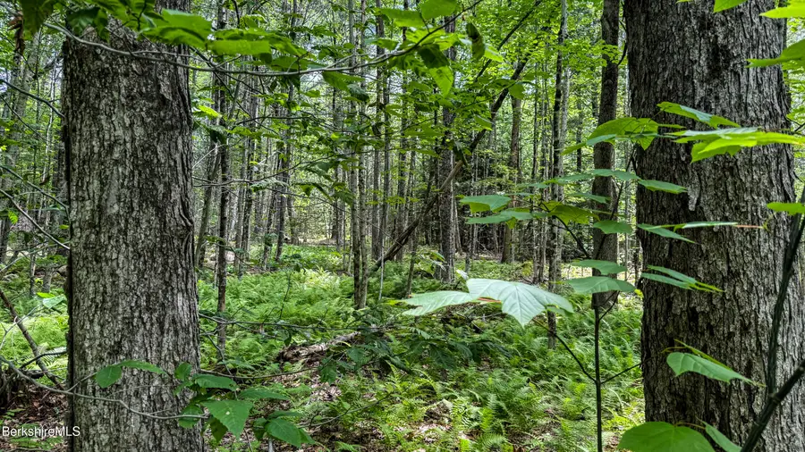LOT9 Jacobs Ladder Rd, Becket, MA 01223 - #3