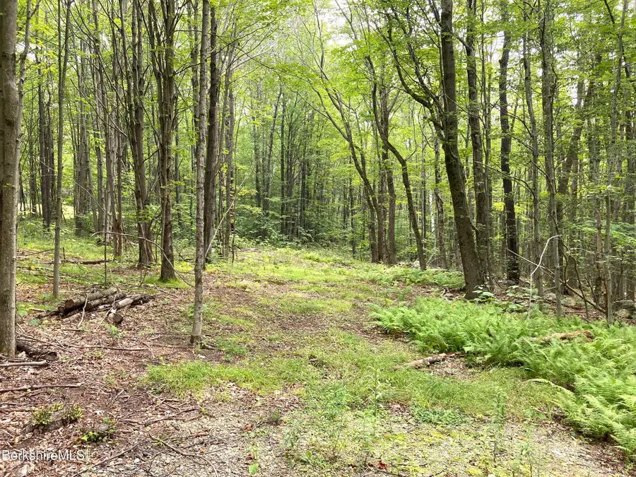 Monroe Rd, Florida, MA 01247 - #2