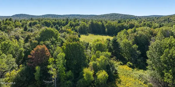 0 Stebbins Rd, Otis, MA 01253